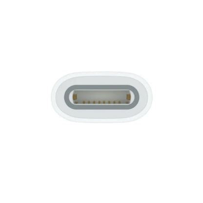 Apple USB-C to Apple Pencil Adapter for iPad 10th Generation