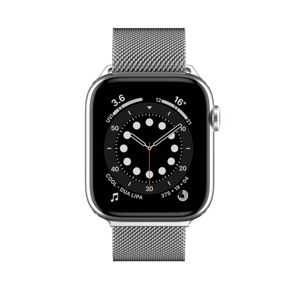 SwitchEasy Mesh Stainless Steel Magnetic Loop for Apple Watch Silver