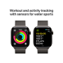 Apple Watch Series 10 Cellular 42mm Slate Titanium Milanese Loop